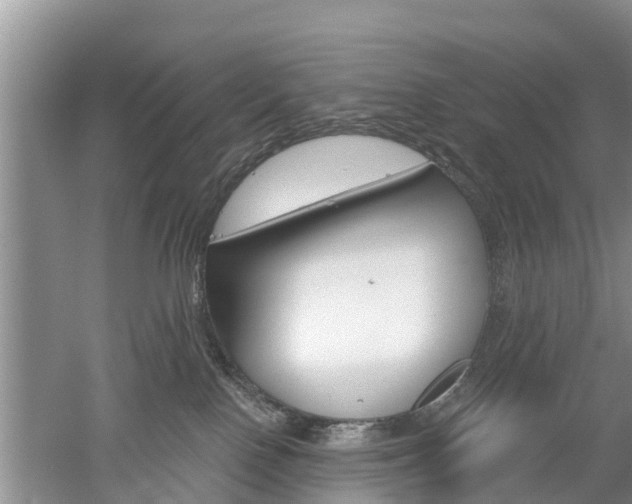 X0000053000090200507151933