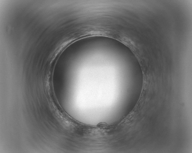 X0000053000098200507151932