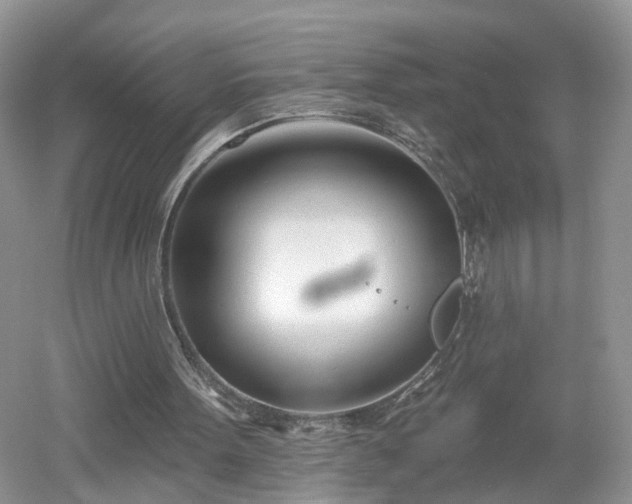 X0000053000099200507151932