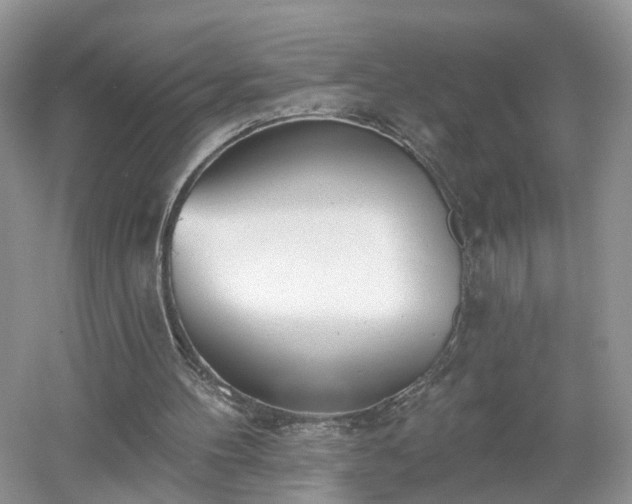 X0000053000100200507151932