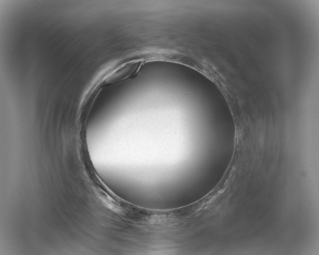 X0000053000101200507151932