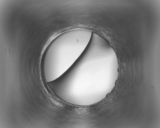 X0000053000102200507151932