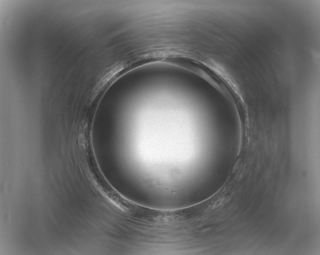 X0000053000105200507151932