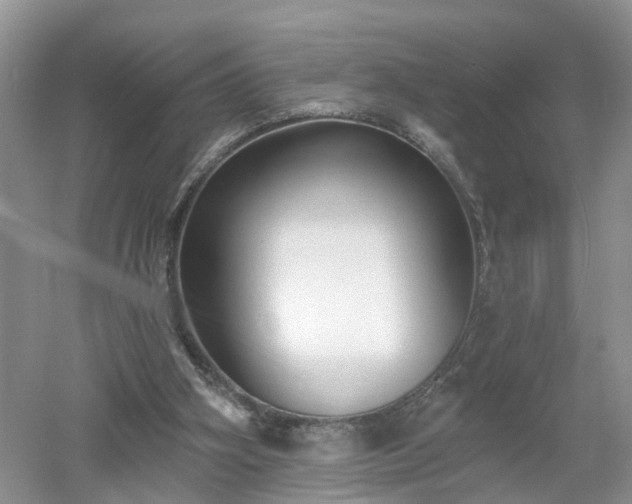 X0000053000106200507151932