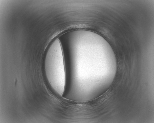 X0000053000111200507151932