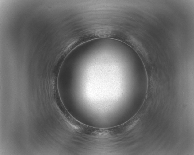 X0000053000113200507151932