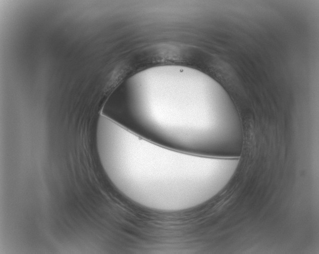 X0000053000123200507151931