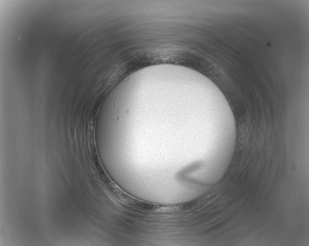 X0000053000126200507151931