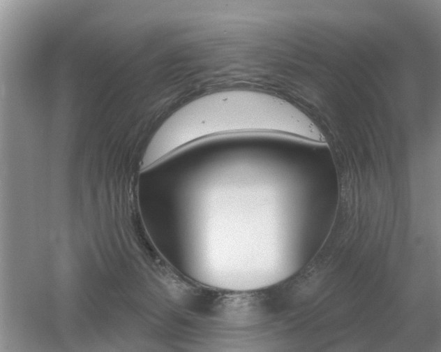 X0000053000127200507151931