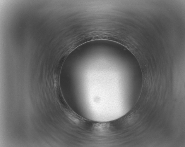 X0000053000135200507151931