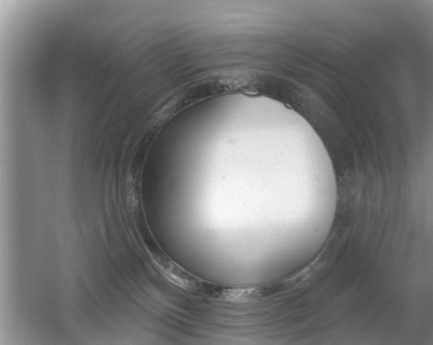 X0000053000136200507151931