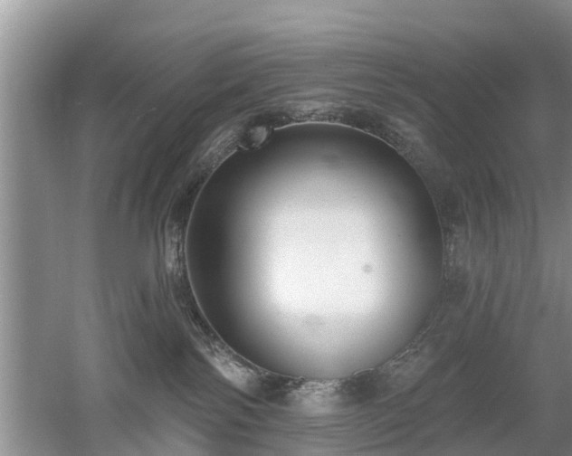 X0000053000138200507151931