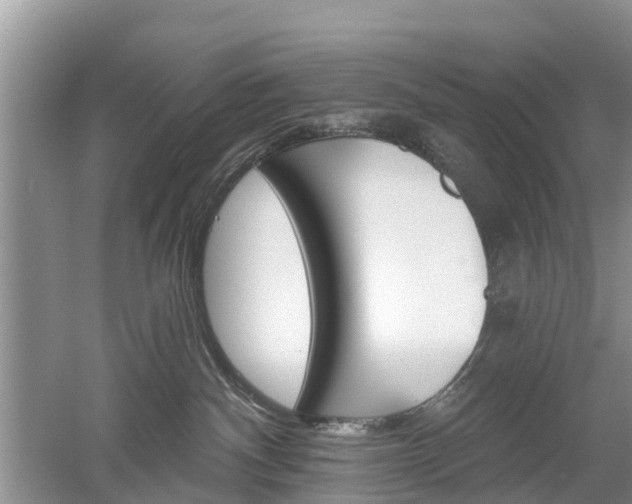 X0000053000140200507151931