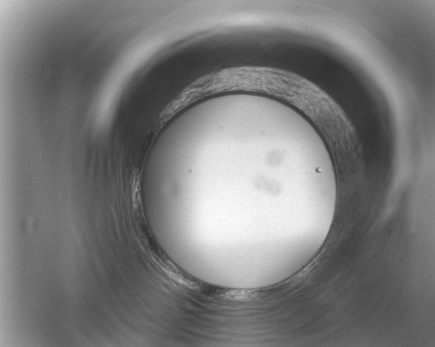 X0000053000142200507151931