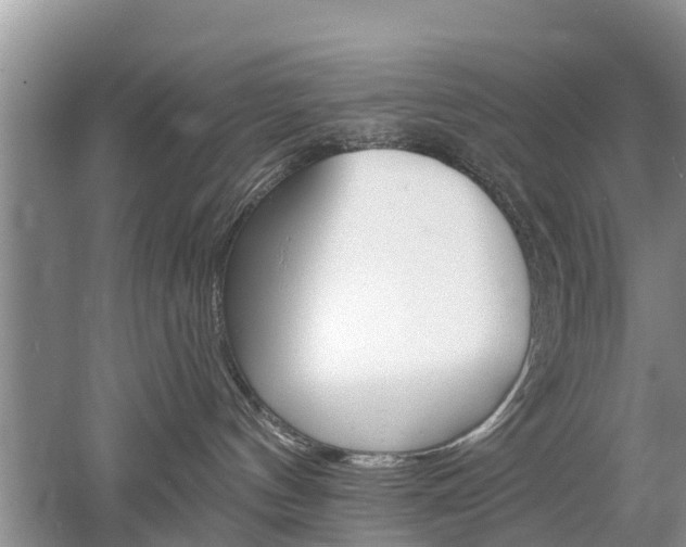 X0000053000144200507151931