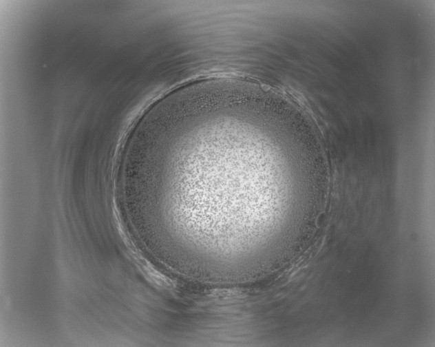 X0000053000145200507151930