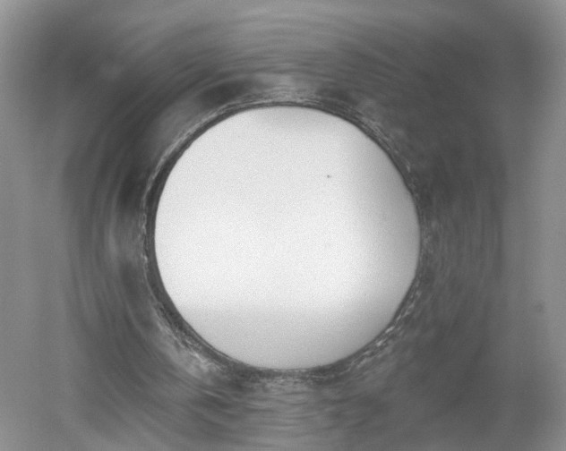 X0000053000146200507151930