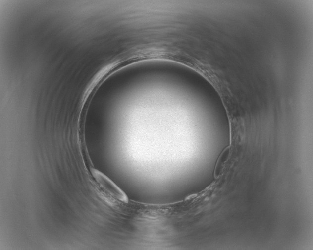 X0000053000147200507151930