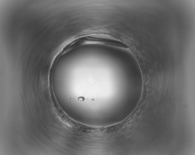 X0000053000148200507151930