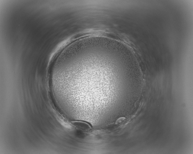 X0000053000149200507151930