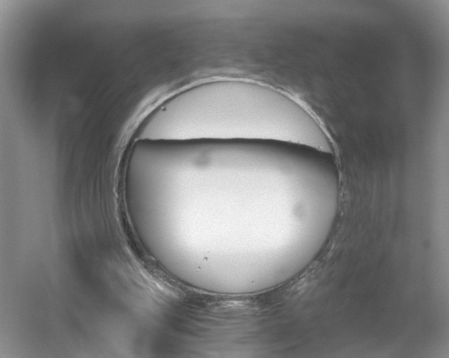 X0000053000151200507151930