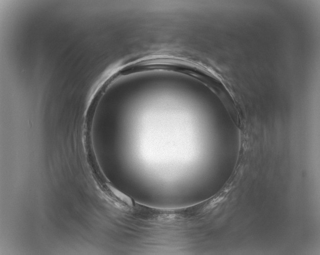 X0000053000152200507151930