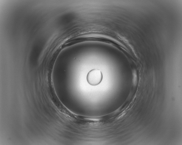 X0000053000154200507151930