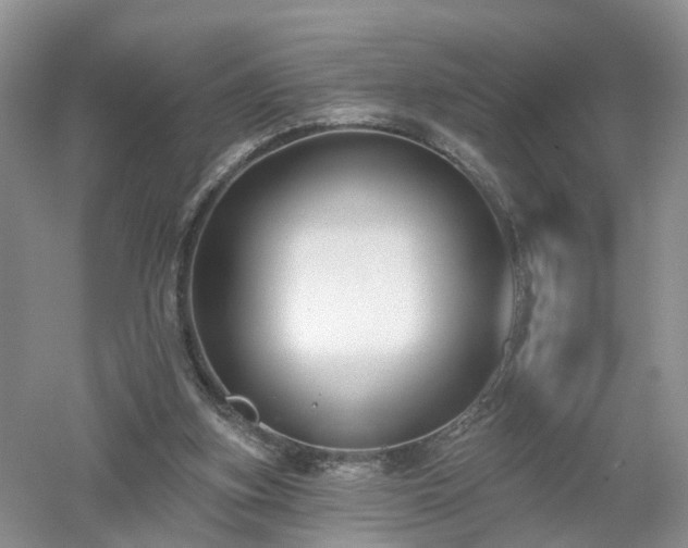 X0000053000155200507151930