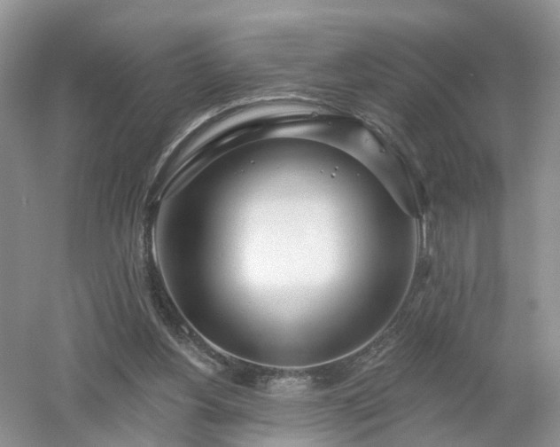 X0000053000156200507151930