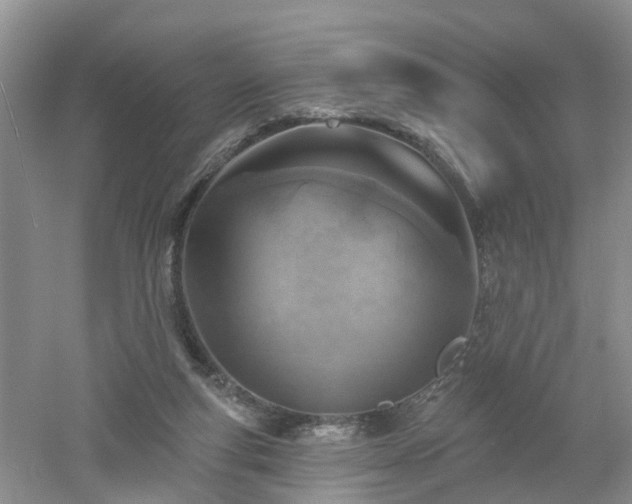 X0000053000163200507151931