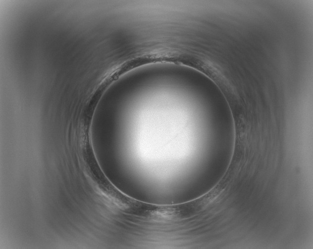 X0000053000164200507151931