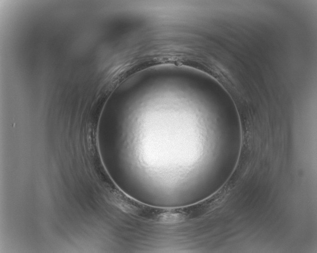 X0000053000169200507151931