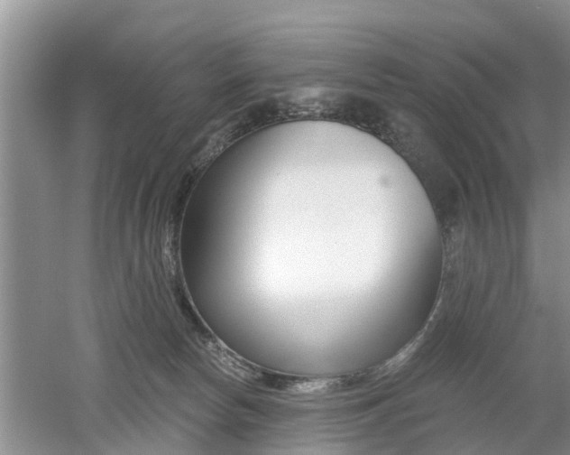 X0000053000178200507151931