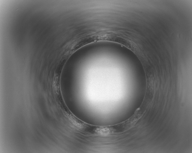 X0000053000181200507151931