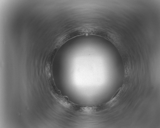 X0000053000187200507151931