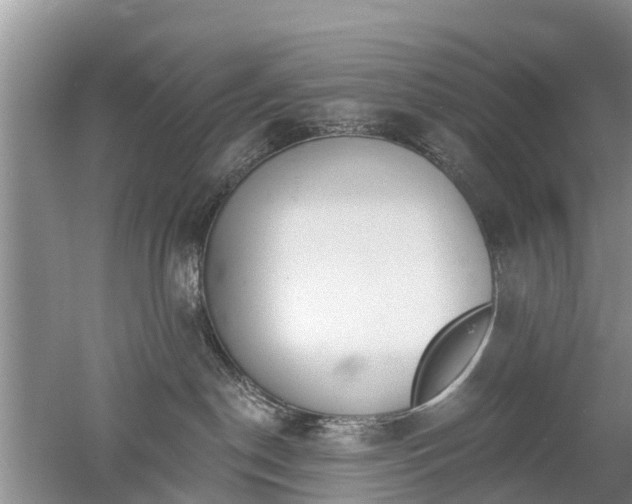 X0000053000190200507151931