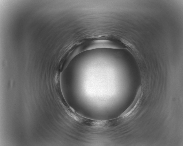 X0000053000192200507151931