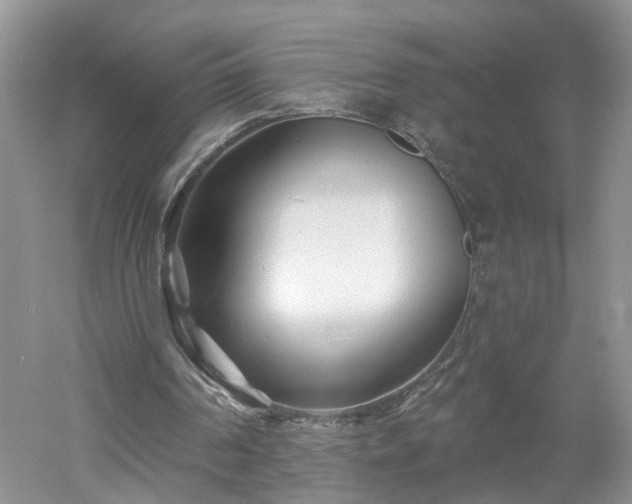 X0000053000194200507151930