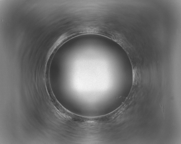 X0000053000195200507151930