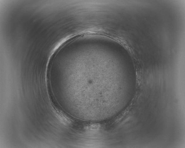 X0000053000196200507151930