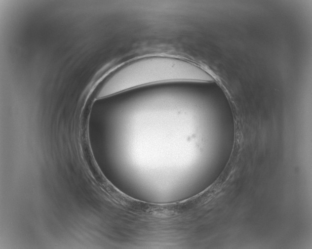 X0000053000199200507151930