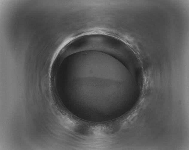 X0000053000200200507151930