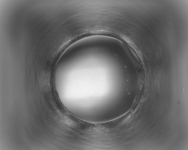 X0000053000201200507151930