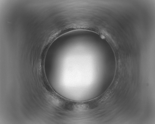 X0000053000202200507151930