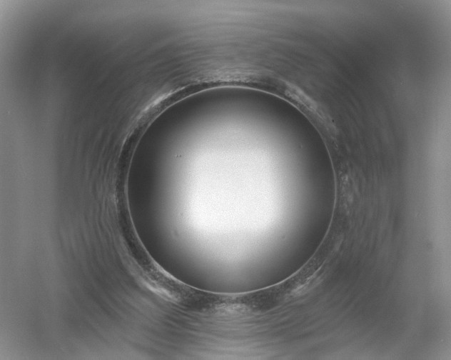 X0000053000203200507151930