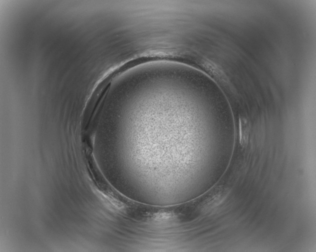 X0000053000204200507151930