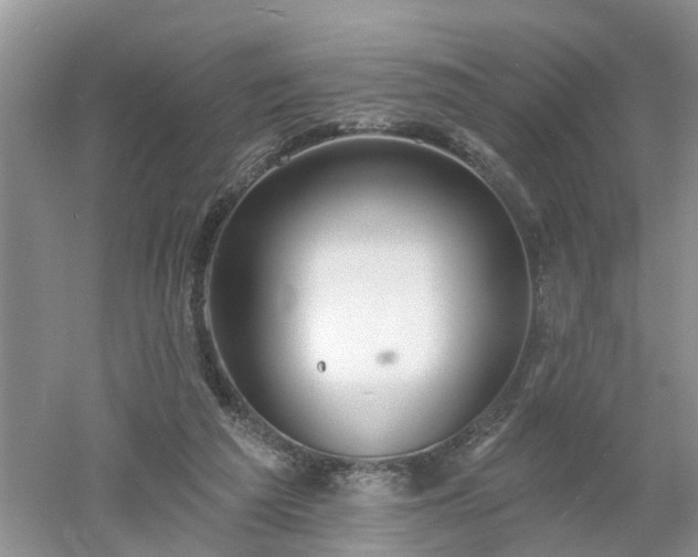 X0000053000209200507151930