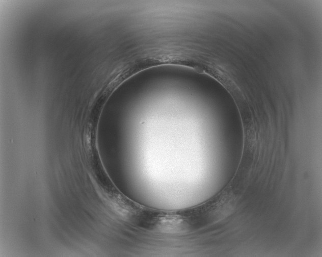 X0000053000214200507151930