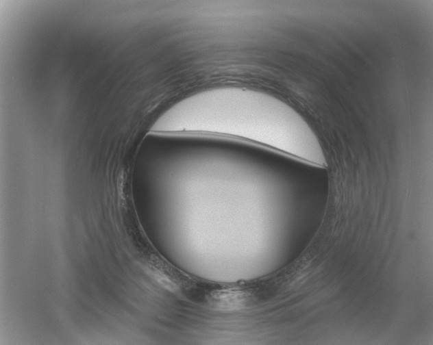 X0000053000219200507151930