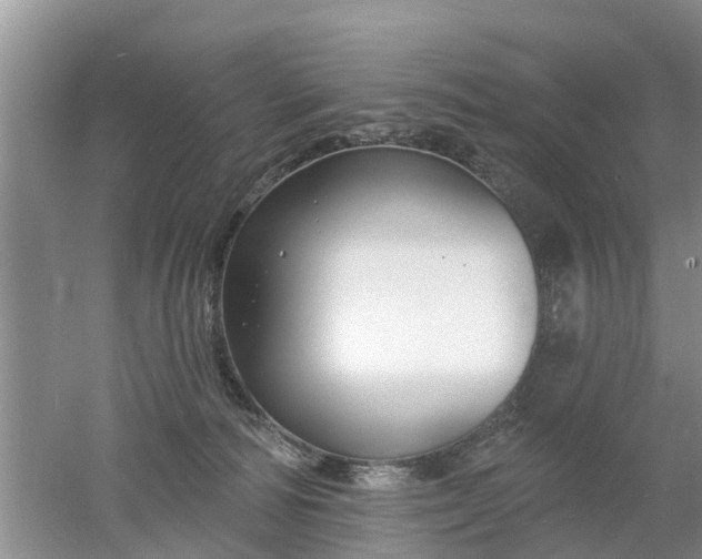 X0000053000226200507151930